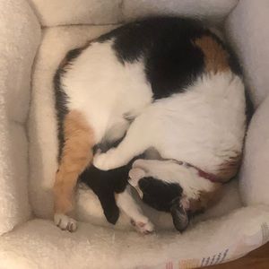 Meet your Posher, Susan